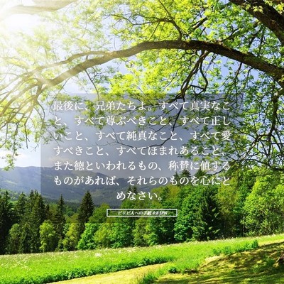 Picture 05 - ピリピ人への手紙 4:8 JPN - 最後に、兄弟たちよ。すべて真実な - Bible Verse Picture