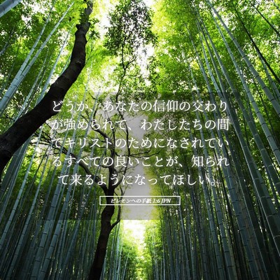 Picture 05 - ピレモンヘの手紙 1:6 JPN - どうか、あなたの信仰の交わりが強 - Bible Verse Picture