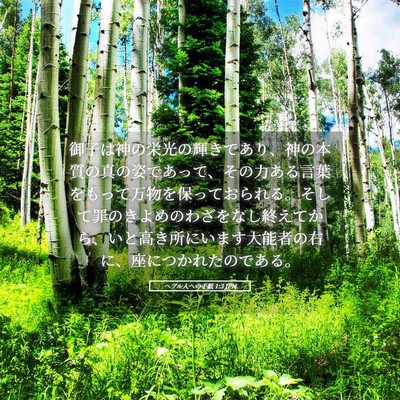 Picture 05 - ヘブル人への手紙 1:3 JPN - 御子は神の栄光の輝きであり、神の - Bible Verse Picture