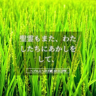 Picture 05 - ヘブル人への手紙 10:15 JPN - 聖霊もまた、わたしたちにあかしを - Bible Verse Picture