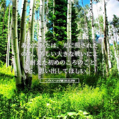 Picture 05 - ヘブル人への手紙 10:32 JPN - あなたがたは、光に照されたのち、 - Bible Verse Picture