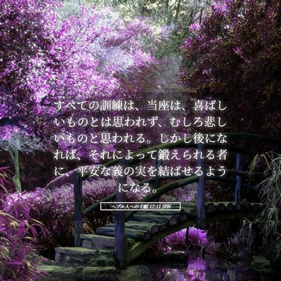 Picture 05 - ヘブル人への手紙 12:11 JPN - すべての訓練は、当座は、喜ばしい - Bible Verse Picture
