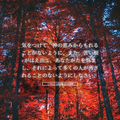 Picture 05 - ヘブル人への手紙 12:15 JPN - 気をつけて、神の恵みからもれるこ - Bible Verse Picture
