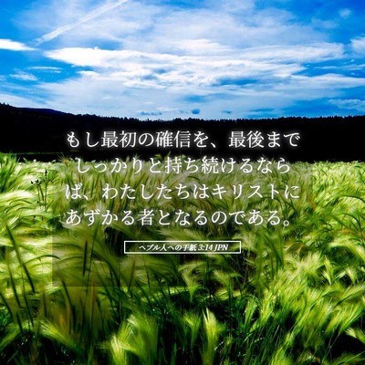 Picture 05 - ヘブル人への手紙 3:14 JPN - もし最初の確信を、最後までしっか - Bible Verse Picture