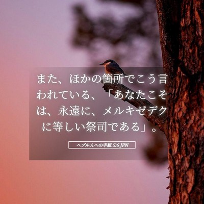 Picture 05 - ヘブル人への手紙 5:6 JPN - また、ほかの箇所でこう言われてい - Bible Verse Picture