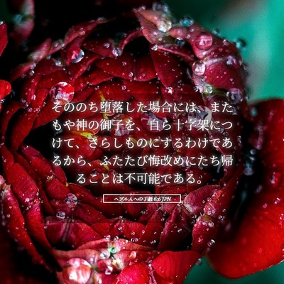 Picture 05 - ヘブル人への手紙 6:6 JPN - そののち堕落した場合には、またも - Bible Verse Picture