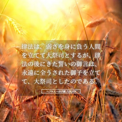 Picture 05 - ヘブル人への手紙 7:28 JPN - 律法は、弱さを身に負う人間を立て - Bible Verse Picture