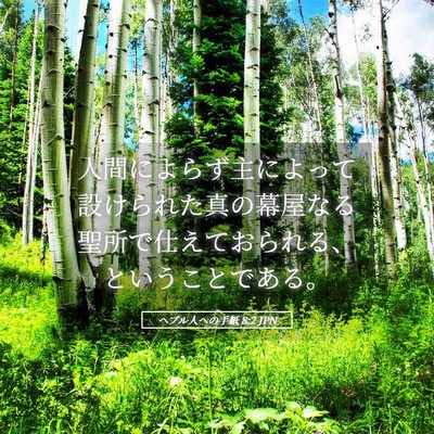 Picture 05 - ヘブル人への手紙 8:2 JPN - 人間によらず主によって設けられた - Bible Verse Picture