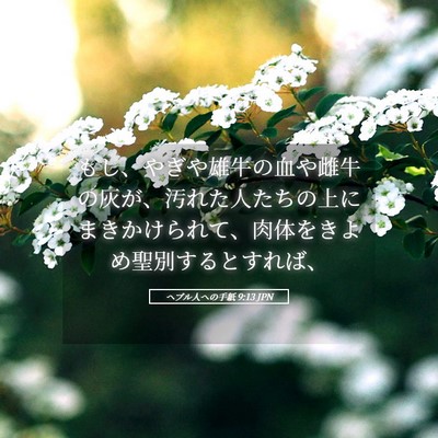 Picture 05 - ヘブル人への手紙 9:13 JPN - もし、やぎや雄牛の血や雌牛の灰が - Bible Verse Picture