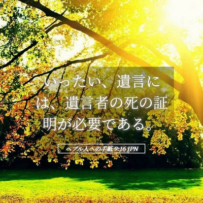 Picture 05 - ヘブル人への手紙 9:16 JPN - いったい、遺言には、遺言者の死の - Bible Verse Picture