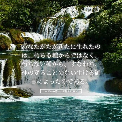 Picture 05 - ペテロの第一の手紙 1:23 JPN - あなたがたが新たに生れたのは、朽 - Bible Verse Picture