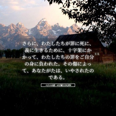 Picture 05 - ペテロの第一の手紙 2:24 JPN - さらに、わたしたちが罪に死に、義 - Bible Verse Picture