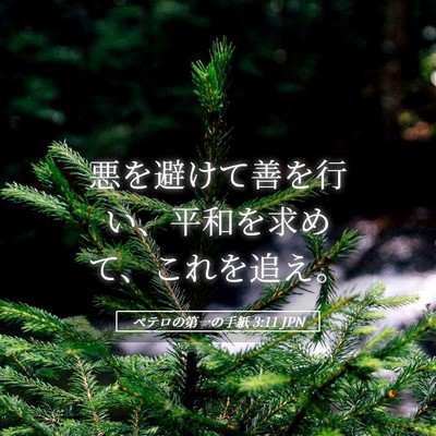 Picture 05 - ペテロの第一の手紙 3:11 JPN - 悪を避けて善を行い、平和を求めて - Bible Verse Picture