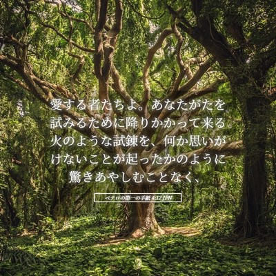 Picture 05 - ペテロの第一の手紙 4:12 JPN - 愛する者たちよ。あなたがたを試み - Bible Verse Picture