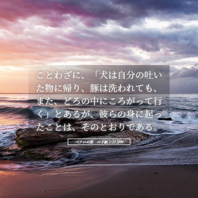Picture 05 - ペテロの第二の手紙 2:22 JPN - ことわざに、「犬は自分の吐いた物 - Bible Verse Picture