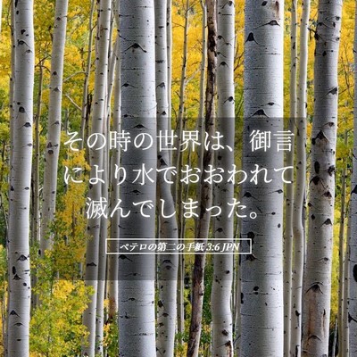 Picture 05 - ペテロの第二の手紙 3:6 JPN - その時の世界は、御言により水でお - Bible Verse Picture