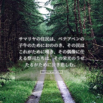 Picture 05 - ホセア書 10:5 JPN - サマリヤの住民は、ベテアベンの子 - Bible Verse Picture