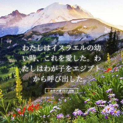 Picture 05 - ホセア書 11:1 JPN - わたしはイスラエルの幼い時、これ - Bible Verse Picture