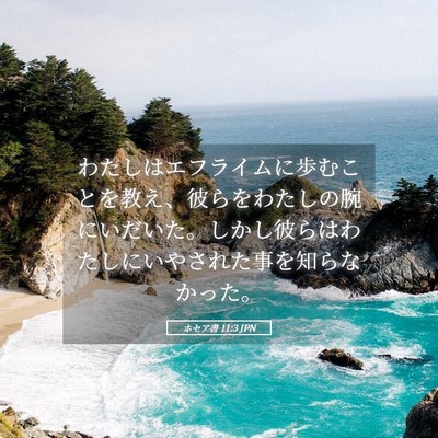 Picture 05 - ホセア書 11:3 JPN - わたしはエフライムに歩むことを教 - Bible Verse Picture