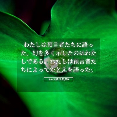 Picture 05 - ホセア書 12:10 JPN - わたしは預言者たちに語った。幻を - Bible Verse Picture