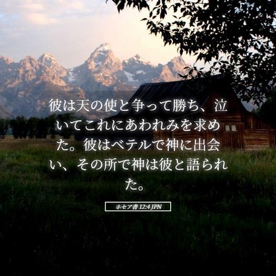 Picture 05 - ホセア書 12:4 JPN - 彼は天の使と争って勝ち、泣いてこ - Bible Verse Picture