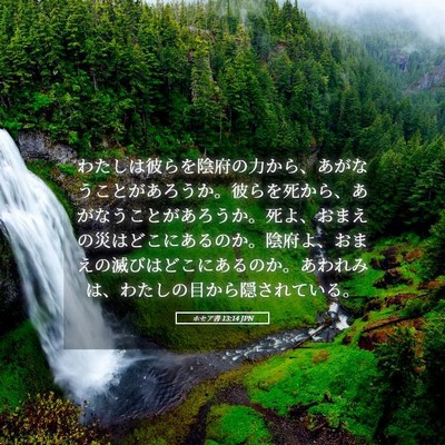 Picture 05 - ホセア書 13:14 JPN - わたしは彼らを陰府の力から、あが - Bible Verse Picture