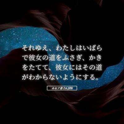 Picture 05 - ホセア書 2:6 JPN - それゆえ、わたしはいばらで彼女の - Bible Verse Picture