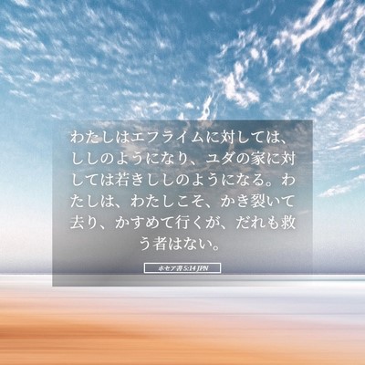 Picture 05 - ホセア書 5:14 JPN - わたしはエフライムに対しては、し - Bible Verse Picture