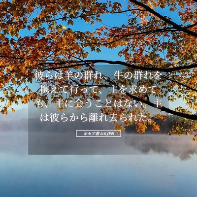 Picture 05 - ホセア書 5:6 JPN - 彼らは羊の群れ、牛の群れを携えて - Bible Verse Picture