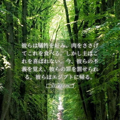 Picture 05 - ホセア書 8:13 JPN - 彼らは犠牲を好み、肉をささげてこ - Bible Verse Picture