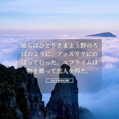 Picture 05 - ホセア書 8:9 JPN - 彼らはひとりさまよう野のろばのよ - Bible Verse Picture