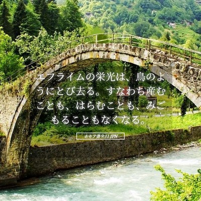Picture 05 - ホセア書 9:11 JPN - エフライムの栄光は、鳥のようにと - Bible Verse Picture
