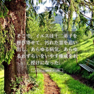 Picture 05 - マタイによる福音書 10:1 JPN - そこで、イエスは十二弟子を呼び寄 - Bible Verse Picture