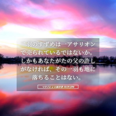 Picture 05 - マタイによる福音書 10:29 JPN - 二羽のすずめは一アサリオンで売ら - Bible Verse Picture
