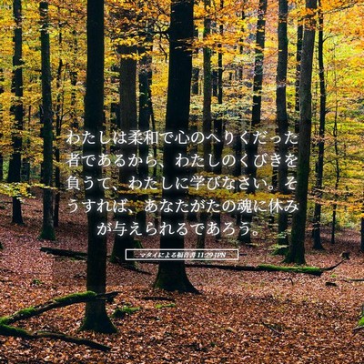 Picture 05 - マタイによる福音書 11:29 JPN - わたしは柔和で心のへりくだった者 - Bible Verse Picture