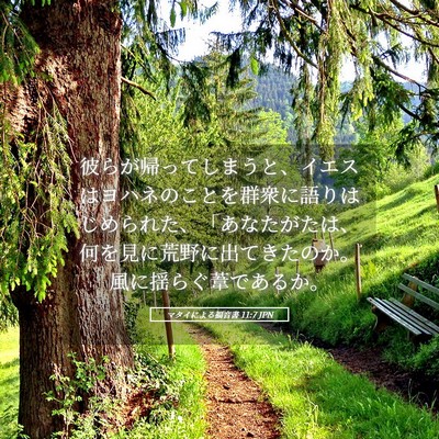 Picture 05 - マタイによる福音書 11:7 JPN - 彼らが帰ってしまうと、イエスはヨ - Bible Verse Picture