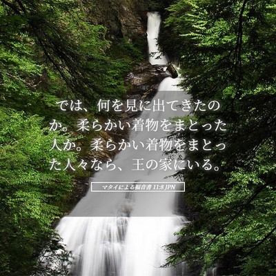 Picture 05 - マタイによる福音書 11:8 JPN - では、何を見に出てきたのか。柔ら - Bible Verse Picture