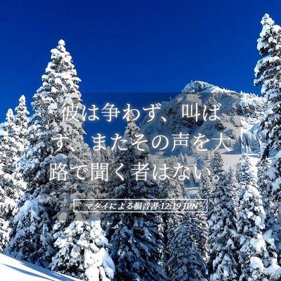 Picture 05 - マタイによる福音書 12:19 JPN - 彼は争わず、叫ばず、またその声を - Bible Verse Picture