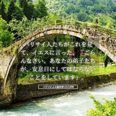 Picture 05 - マタイによる福音書 12:2 JPN - パリサイ人たちがこれを見て、イエ - Bible Verse Picture