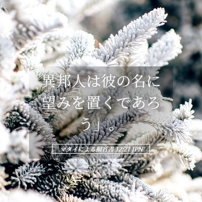 Picture 05 - マタイによる福音書 12:21 JPN - 異邦人は彼の名に望みを置くであろ - Bible Verse Picture