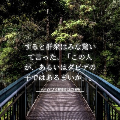 Picture 05 - マタイによる福音書 12:23 JPN - すると群衆はみな驚いて言った、「 - Bible Verse Picture