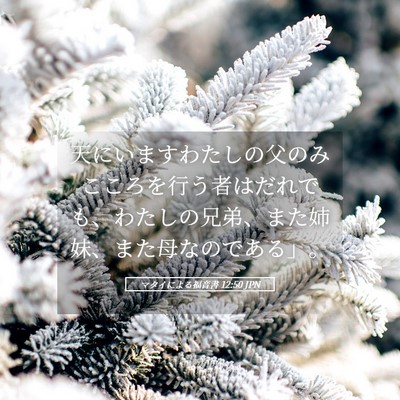 Picture 05 - マタイによる福音書 12:50 JPN - 天にいますわたしの父のみこころを - Bible Verse Picture