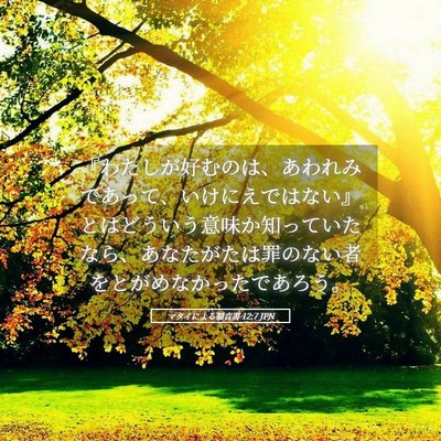 Picture 05 - マタイによる福音書 12:7 JPN - 『わたしが好むのは、あわれみであ - Bible Verse Picture