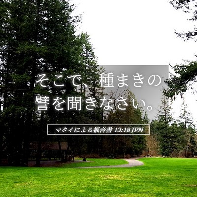 Picture 05 - マタイによる福音書 13:18 JPN - そこで、種まきの譬を聞きなさい。 - Bible Verse Picture