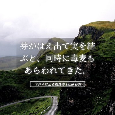 Picture 05 - マタイによる福音書 13:26 JPN - 芽がはえ出て実を結ぶと、同時に毒 - Bible Verse Picture