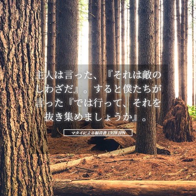 Picture 05 - マタイによる福音書 13:28 JPN - 主人は言った、『それは敵のしわざ - Bible Verse Picture