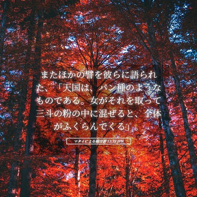 Picture 05 - マタイによる福音書 13:33 JPN - またほかの譬を彼らに語られた、「 - Bible Verse Picture