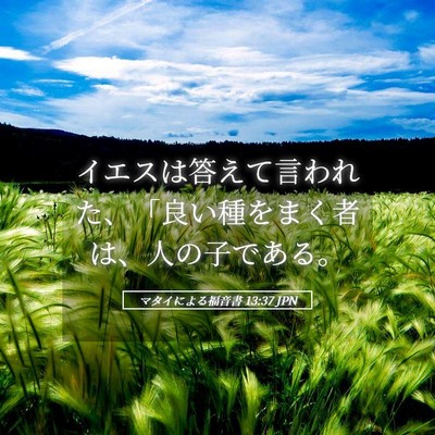 Picture 05 - マタイによる福音書 13:37 JPN - イエスは答えて言われた、「良い種 - Bible Verse Picture