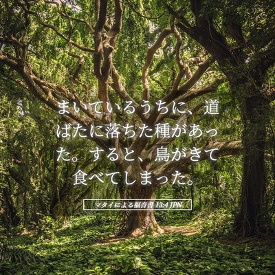 Picture 05 - マタイによる福音書 13:4 JPN - まいているうちに、道ばたに落ちた - Bible Verse Picture
