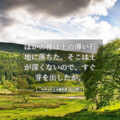 Picture 05 - マタイによる福音書 13:5 JPN - ほかの種は土の薄い石地に落ちた。 - Bible Verse Picture